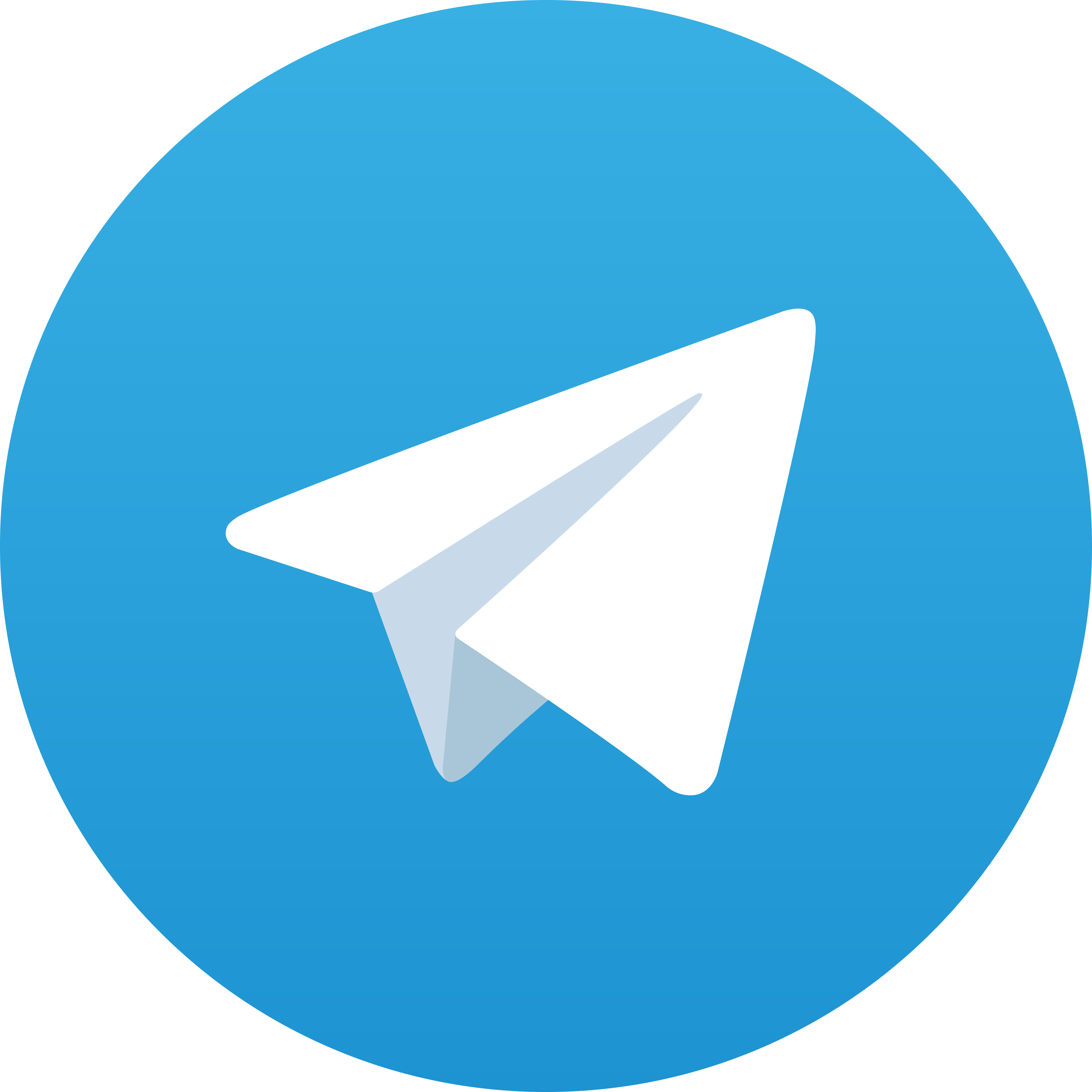 Telegram Saldo338